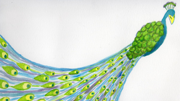 Peacock by Janet Danforth