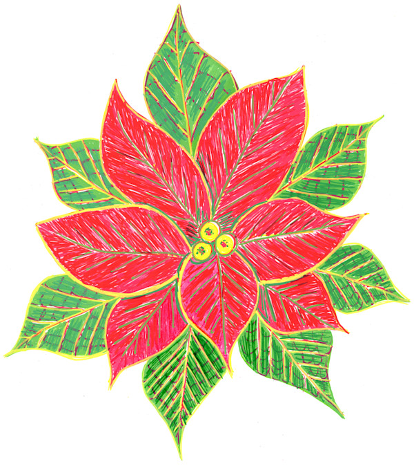 Poinsettia by Janet Danforth, Image 1.