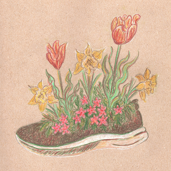 Sneaker Garden by Janet Danforth