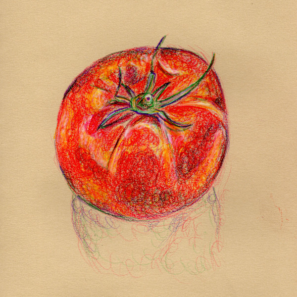 Tomato by Janet Danforth, Image 1.