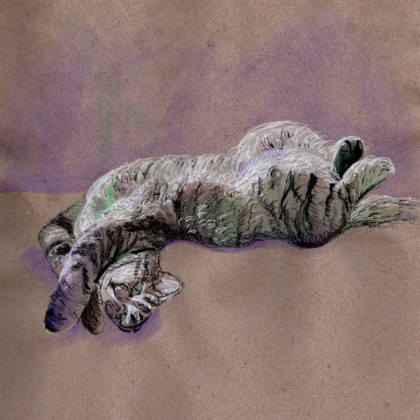 Zelda Showing Her Belly by Janet Danforth