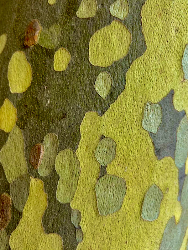 Liquid #2 by Victoria Courtaux, Image 9.