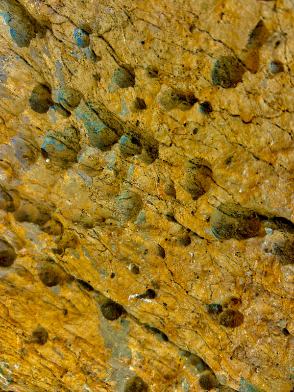 Gold Rush #2 by Victoria Courtaux