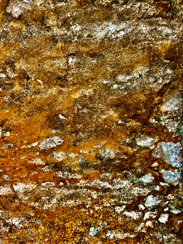 Ancestors #1 by Victoria Courtaux, Image 19.