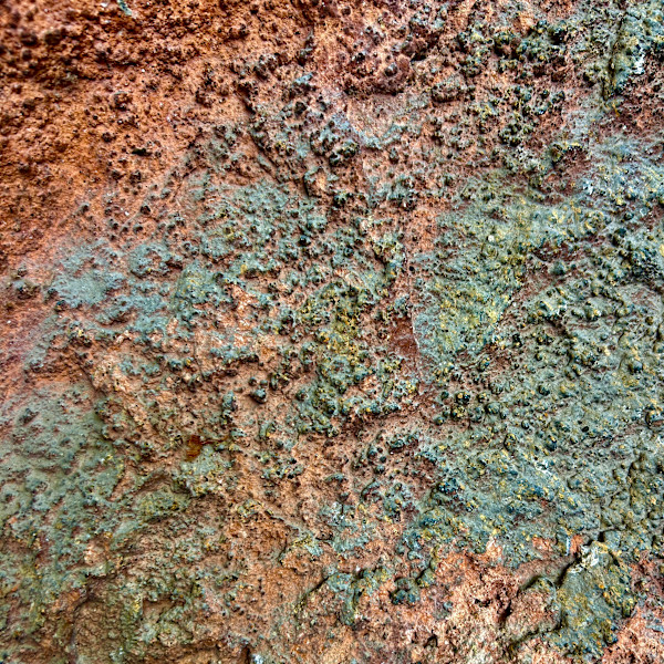 Blush by Victoria Courtaux, Image 11.