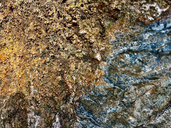 Pluto #1 by Victoria Courtaux, Image 15.