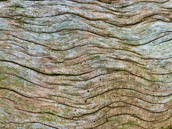 Skin of the Earth #4 by Victoria Courtaux