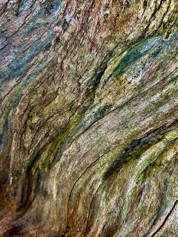 Flow #6 by Victoria Courtaux