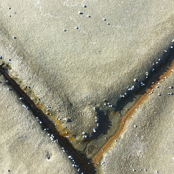 Impossible Shores #1 by Victoria Courtaux