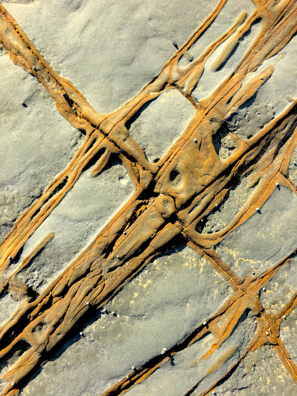 Impossible Shores #6 by Victoria Courtaux