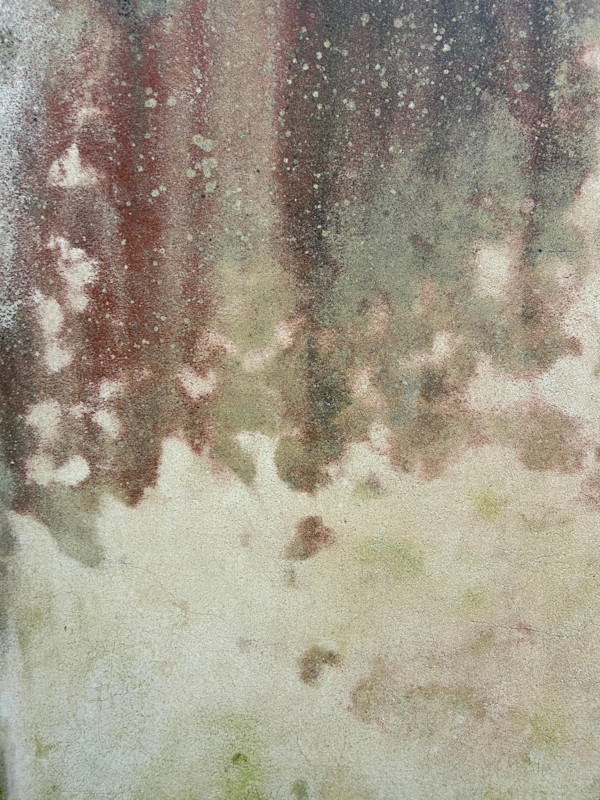 Leafy Shade by Victoria Courtaux, Image 3.