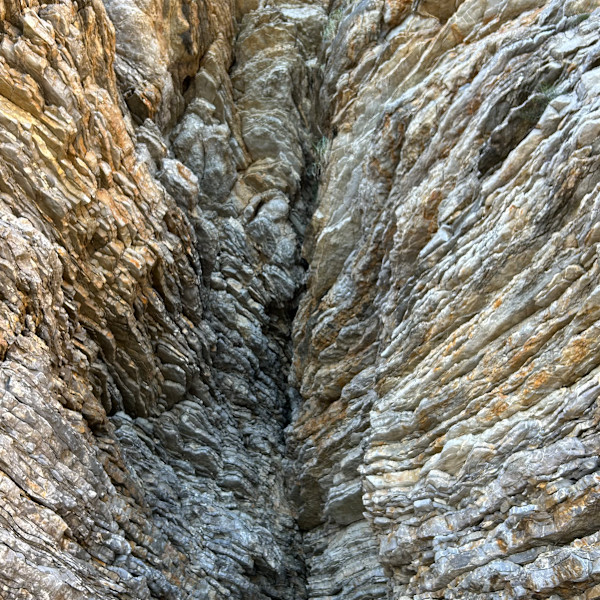 Nature's Songlines #4 by Victoria Courtaux