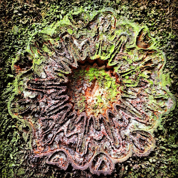 Nature's Songlines #5 by Victoria Courtaux