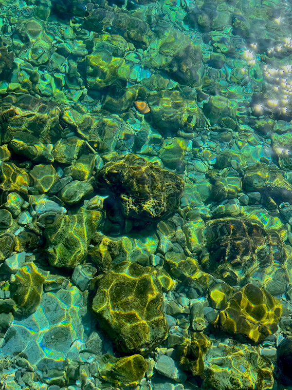 Shimmering Dream by Victoria Courtaux