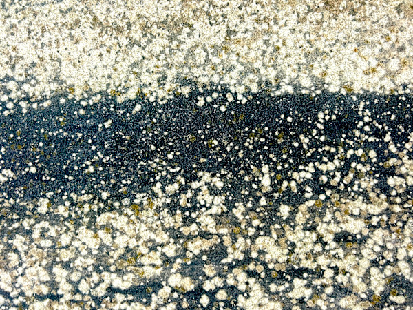 Starry Seascape by Victoria Courtaux, Image 4.
