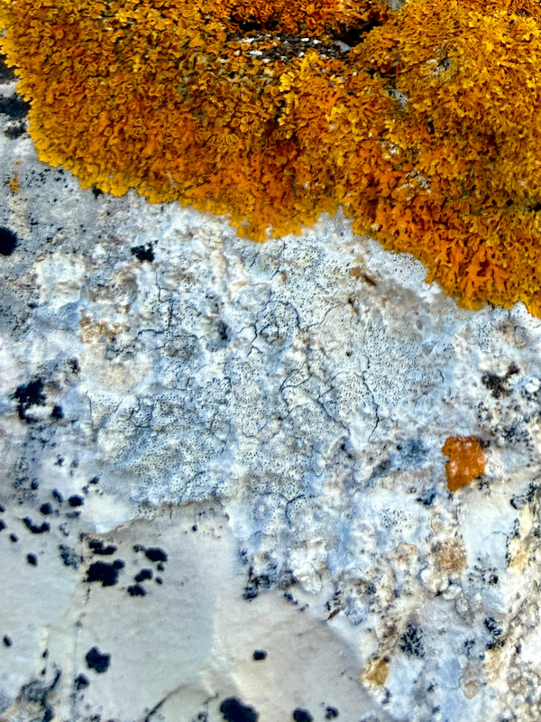 Tactile #3 by Victoria Courtaux