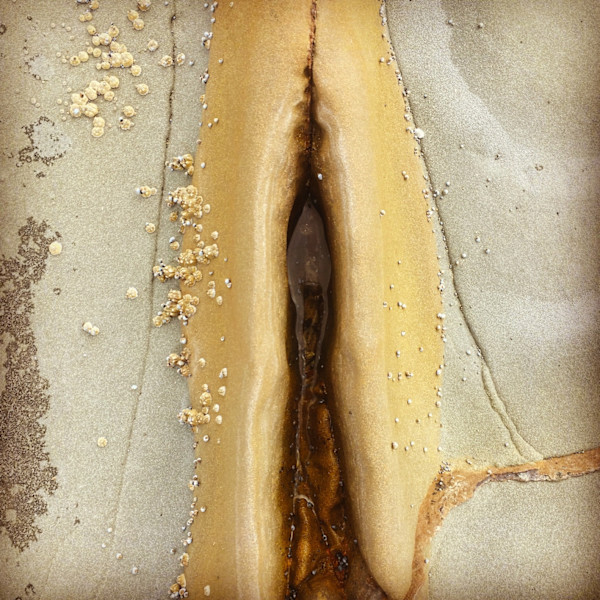 The Feminine #3 by Victoria Courtaux