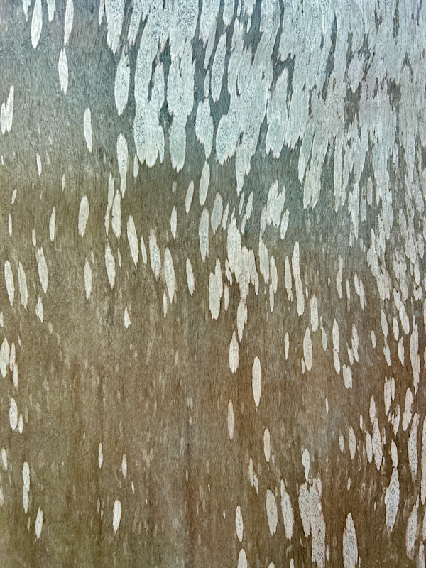 Flow #1 by Victoria Courtaux, Image 1.