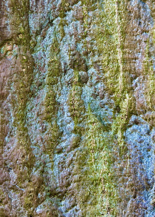 Savage #1 by Victoria Courtaux