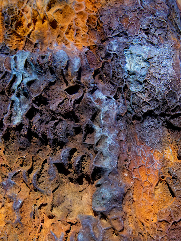 Savage #4 by Victoria Courtaux