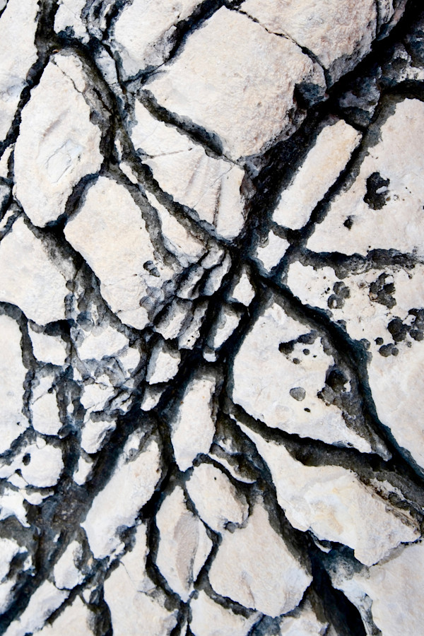 Savage #6 by Victoria Courtaux, Image 8.