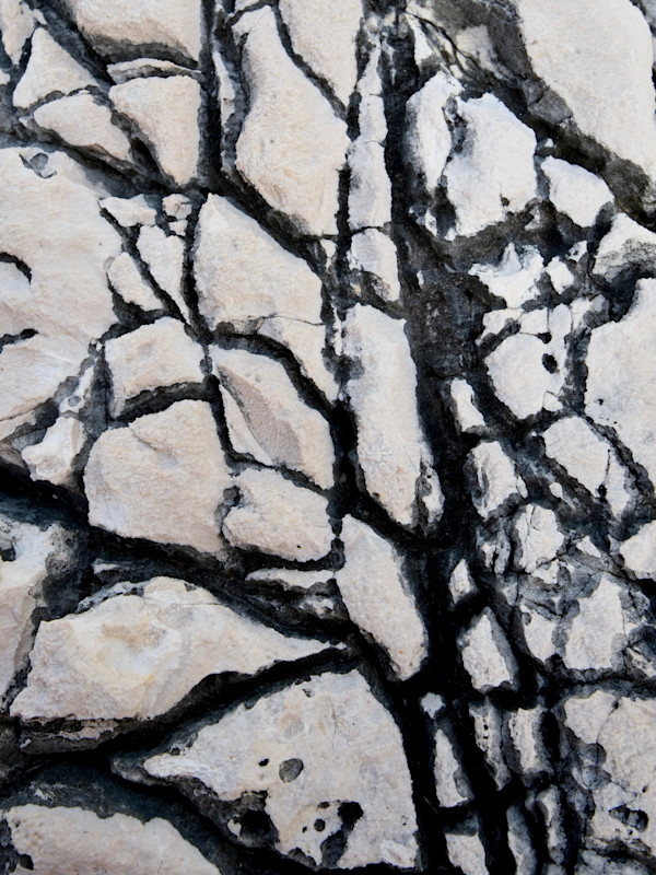 Savage #7 by Victoria Courtaux, Image 9.
