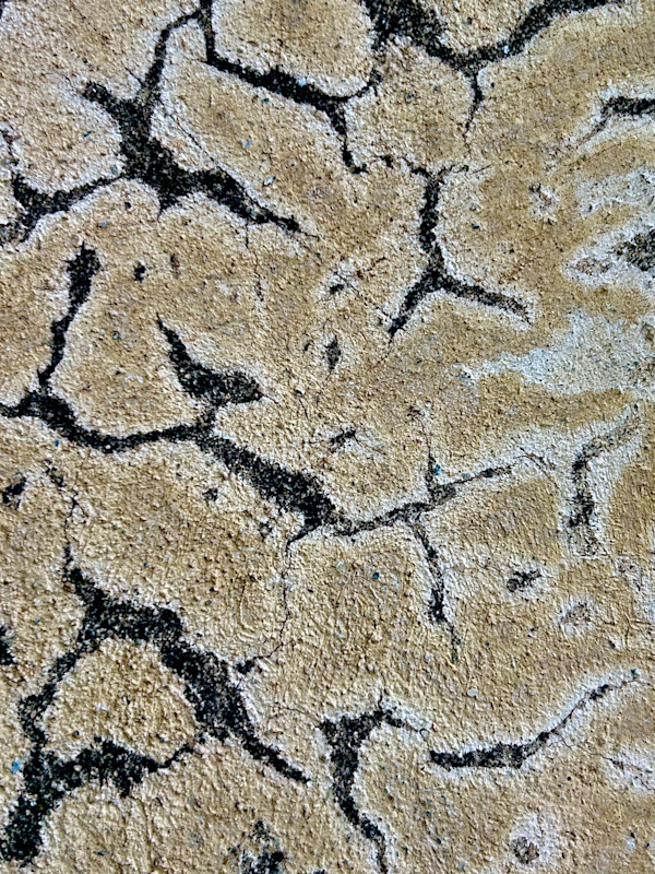 Tactile #8 by Victoria Courtaux, Image 15.