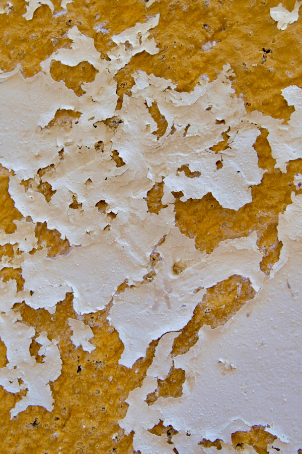 Your Age, Your Beauty #5 by Victoria Courtaux