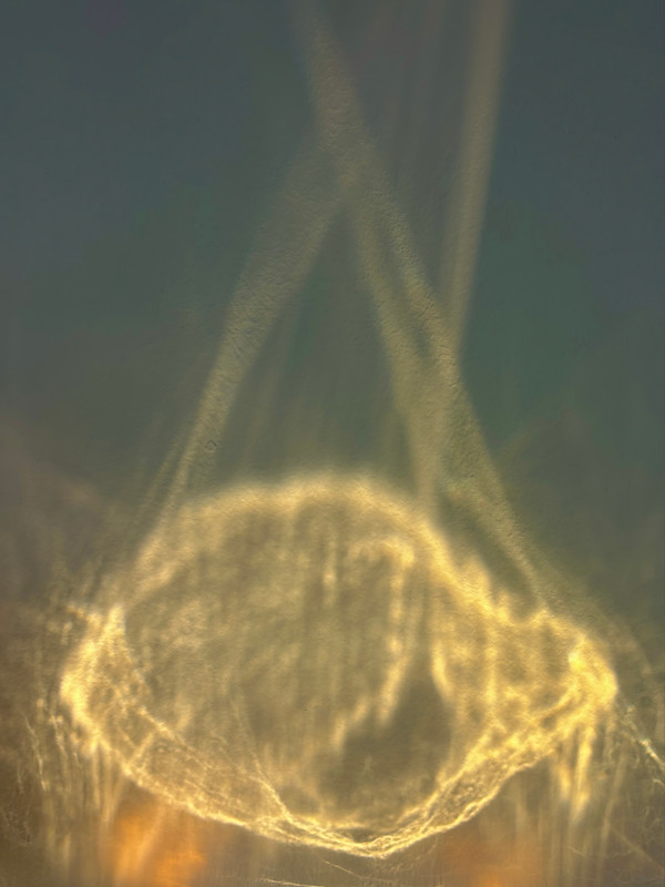 Love by Victoria Courtaux, Image 6.