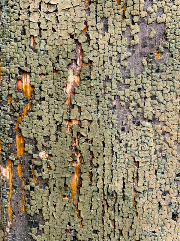 Your Age, Your Beauty #1 by Victoria Courtaux