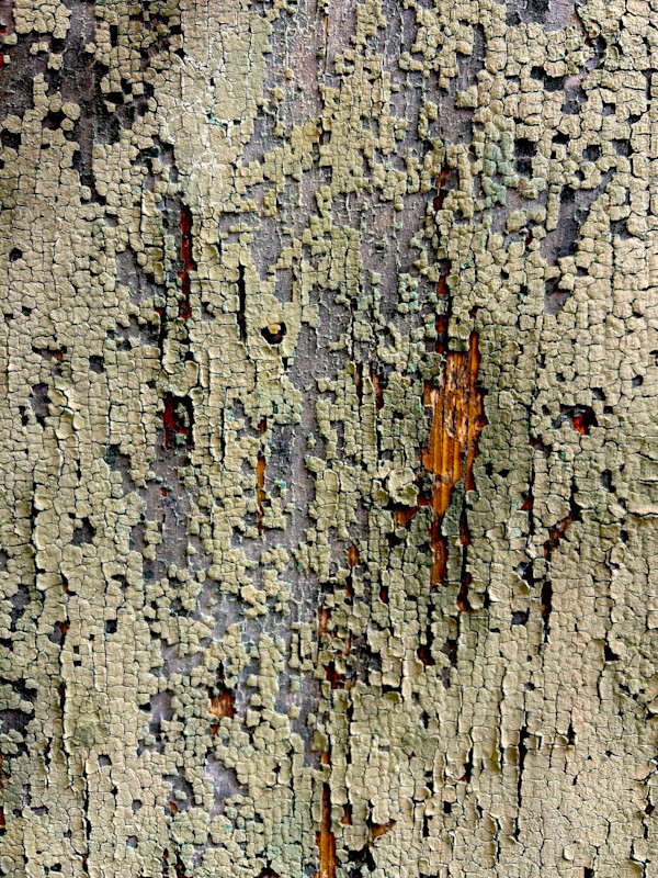 Your Age, Your Beauty #3 by Victoria Courtaux