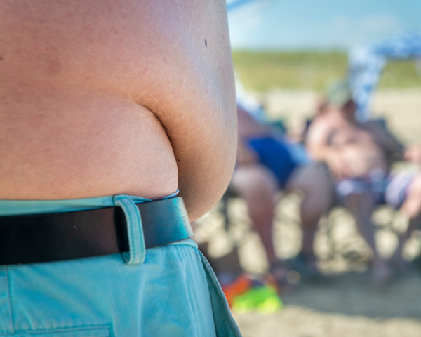 Beach Bear Belly by Adam David Bencomo, Image 1.