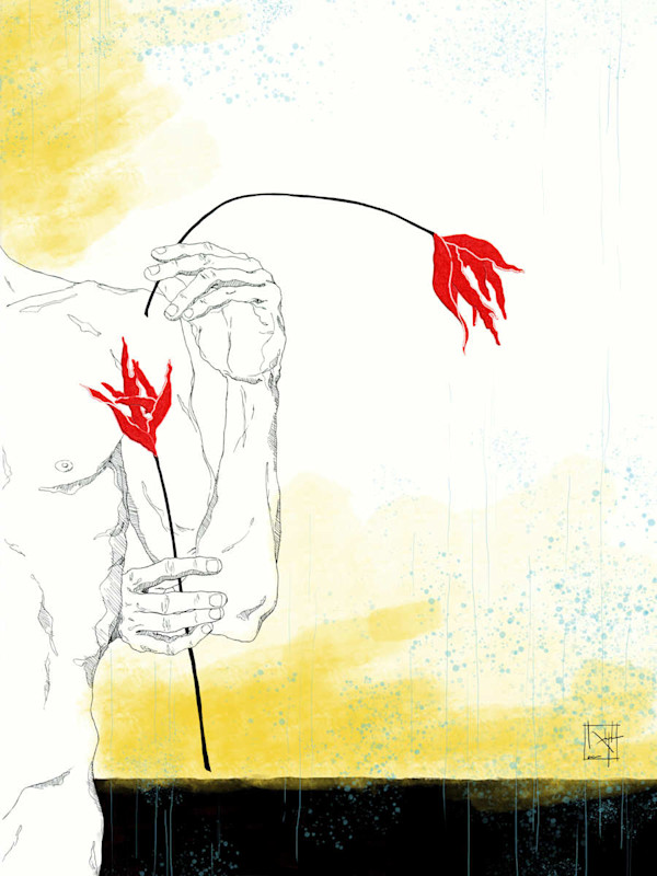 Softness by JORGE TEJEDA