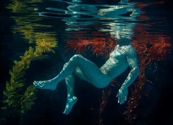 Treading Water by Robert Rausch