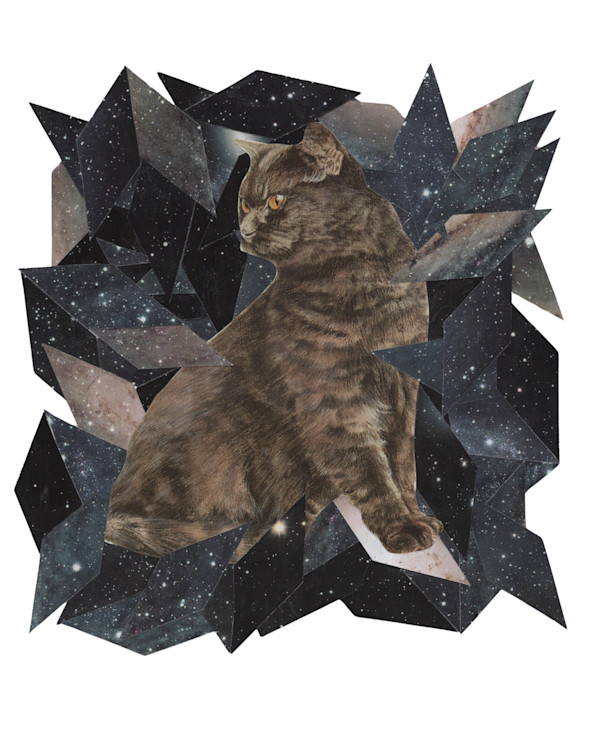Cosmic Cats 8 by Emily Morgan