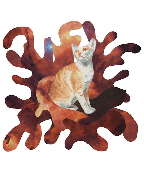 Cosmic Cats 9 by Emily Morgan