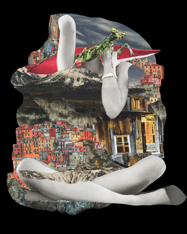 Mantis by Emily Morgan