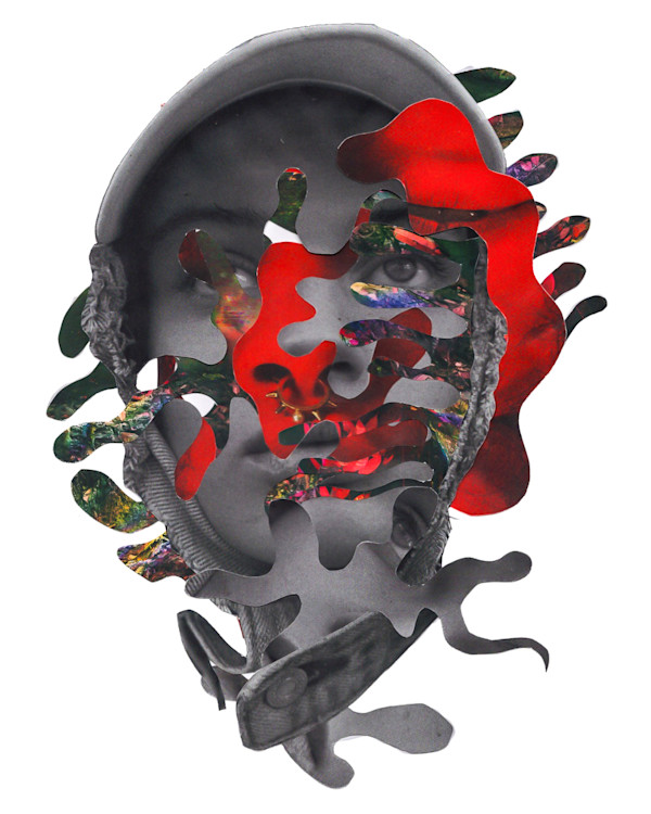 Lucid by Emily Morgan