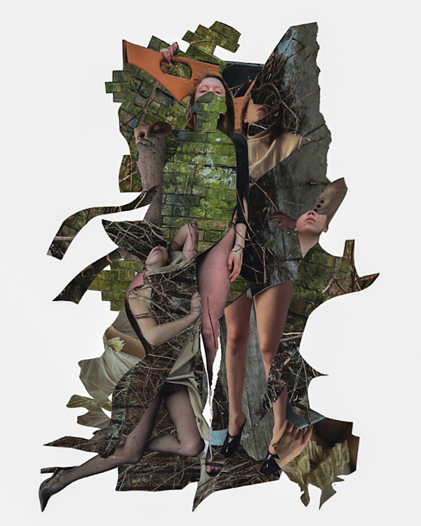 The Woods by Emily Morgan