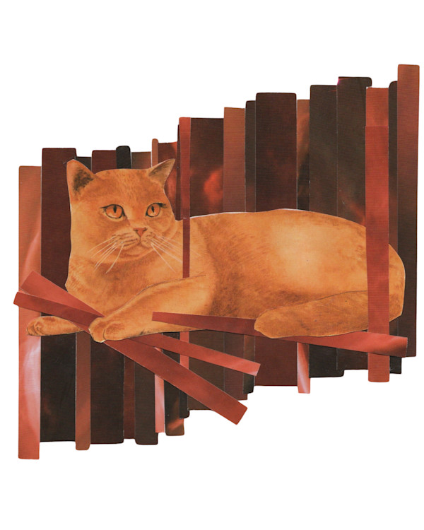 Cosmic Cats 12 by Emily Morgan