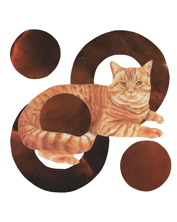 Cosmic Cats 3 by Emily Morgan