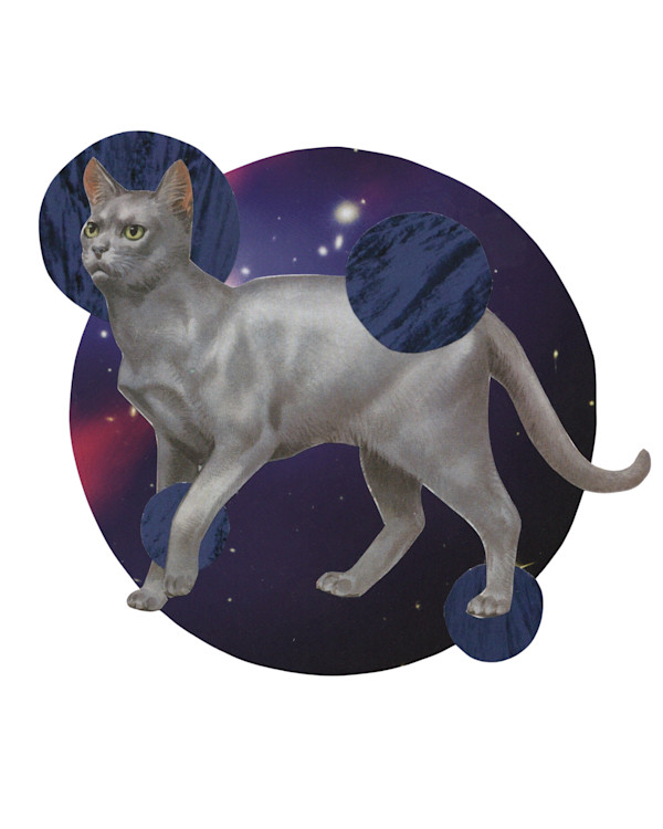 Cosmic Cats 4 by Emily Morgan