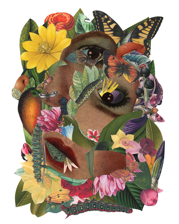 Caterpillar by Emily Morgan