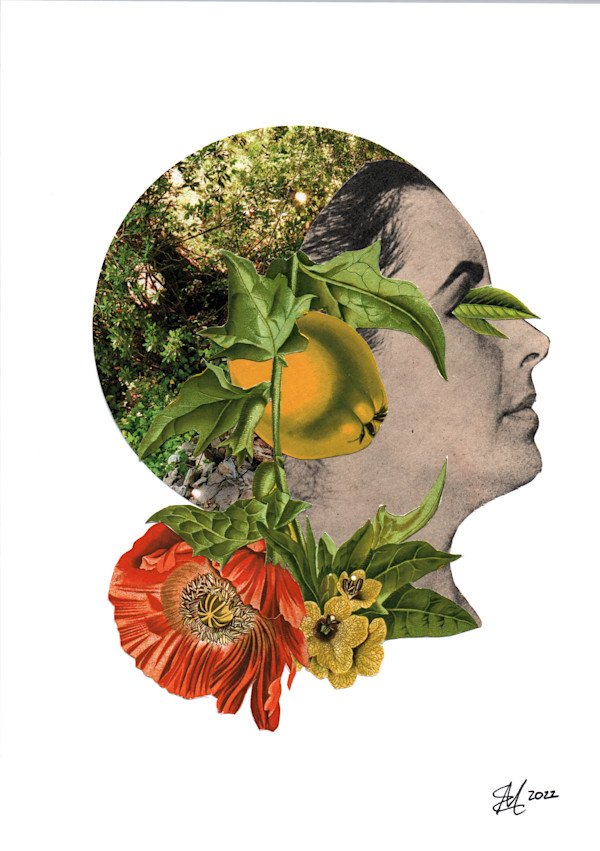 Cydonia Vulgaris by Emily Morgan