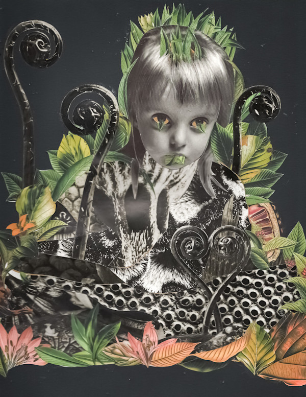 Fiddlehead by Emily Morgan