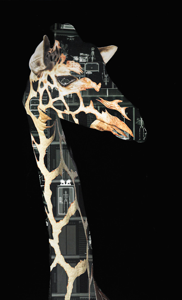 Going Up by Emily Morgan