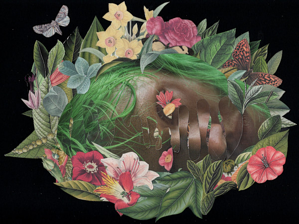 Thaw by Emily Morgan