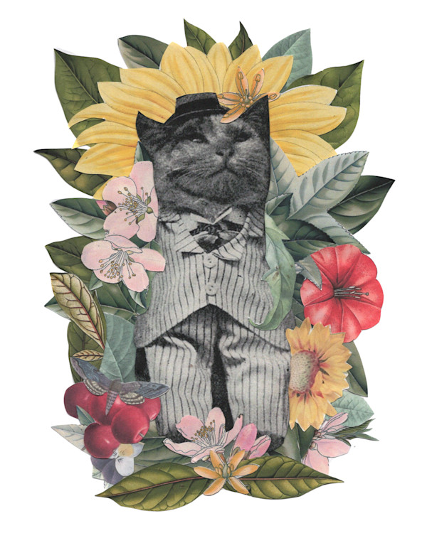 The Emperor by Emily Morgan