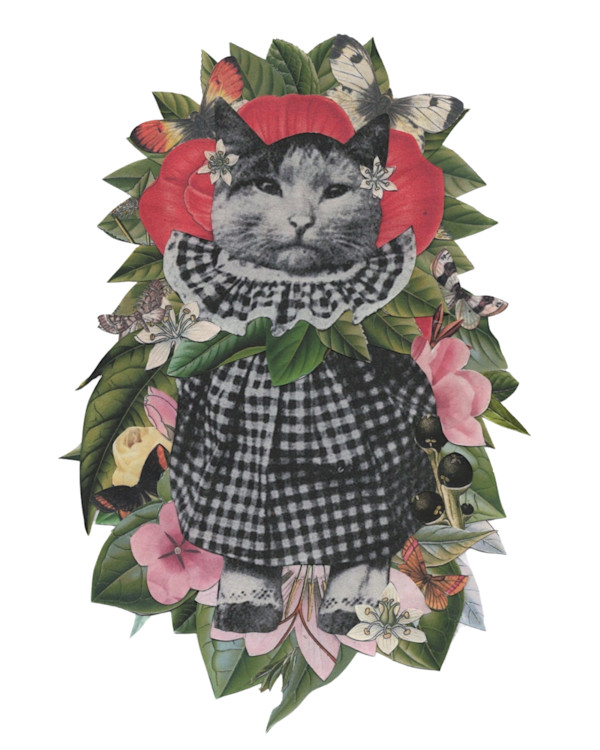 The High Priestess by Emily Morgan