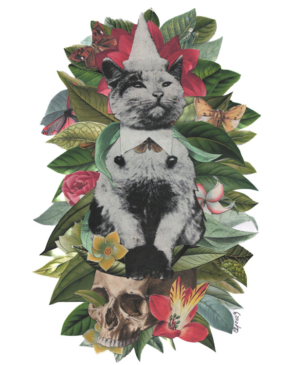 The Magician by Emily Morgan